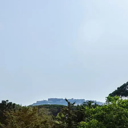 Gasthof Airport Fly House 3*